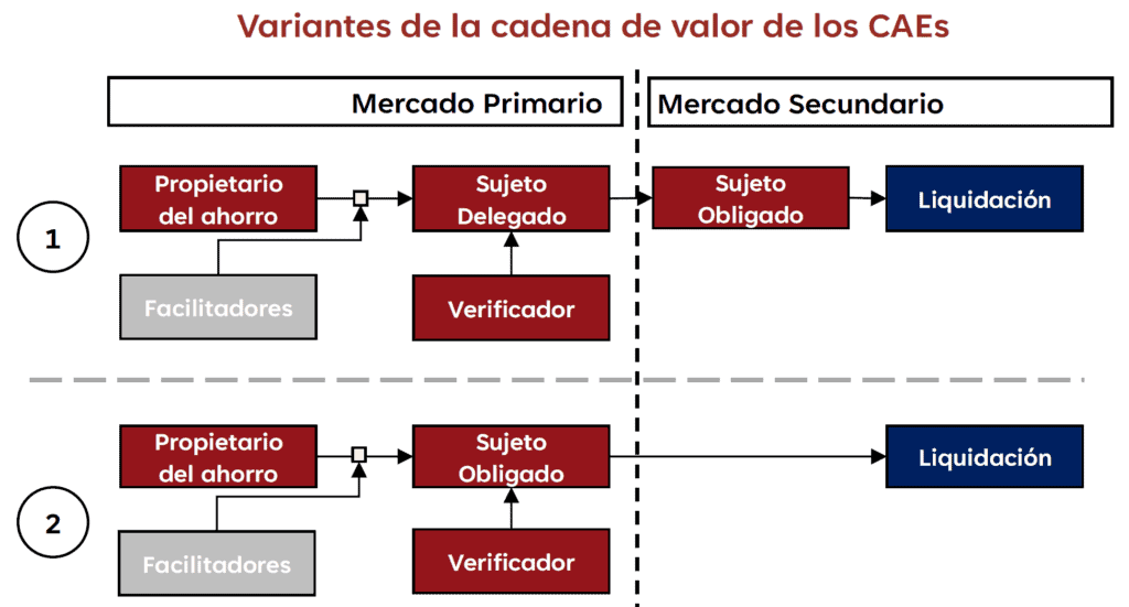 Proceso de CAE: Propietario, Sujeto Delegado, Verificador, Sujeto Obligado, Liquidación.
