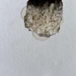 Se ve el Ralip Instalación de aislamiento térmico mediante insuflado en cámara de aire