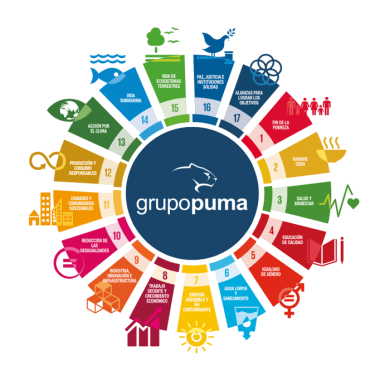 grupo puma ods